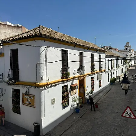 Balcon De Patios Con Parking Appartamento *